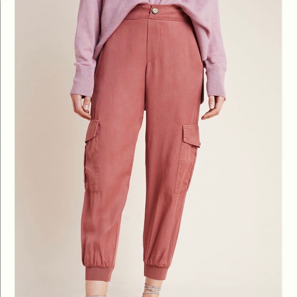 Anthropologie Amadi Cargo Joggers ✨ - Picture 6 of 7